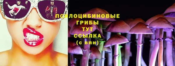герыч Алексин