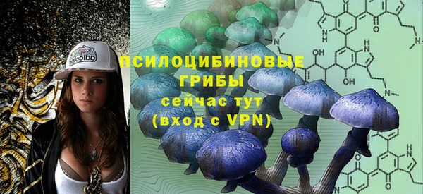 СК Алексеевка