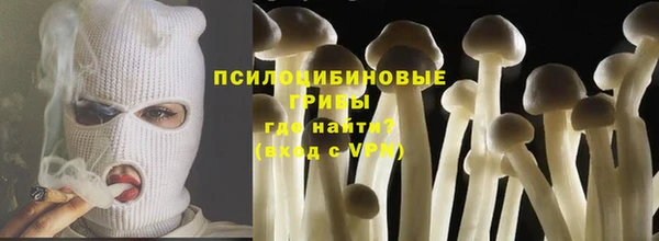 герыч Алексин