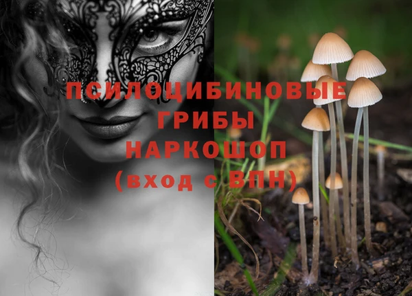 СК Алексеевка