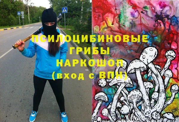 СК Алексеевка