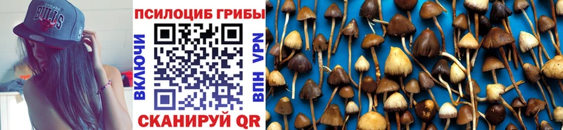где найти наркотики  Анапа  Псилоцибиновые грибы Magic Shrooms 